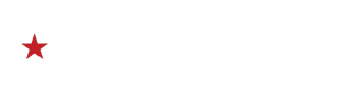 New South Gun Shows